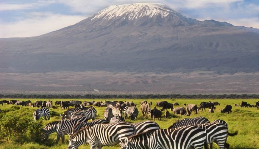 3 Days Amboseli National