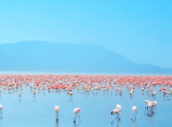 4 Days Lake Naivasha, Lake Nakuru