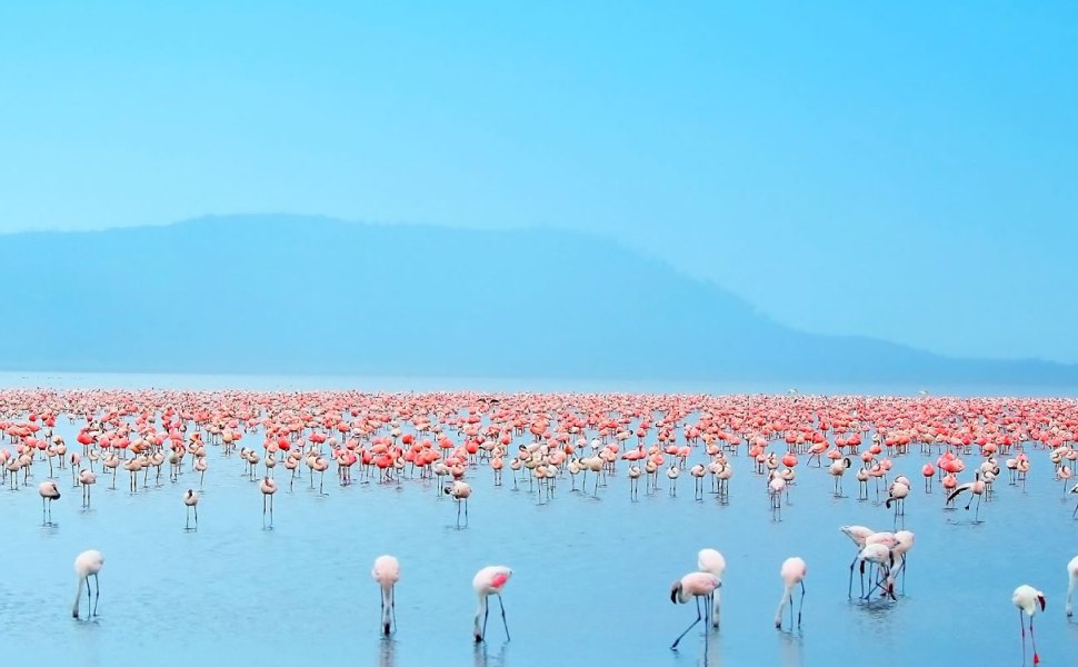 4 Days Lake Naivasha, Lake Nakuru