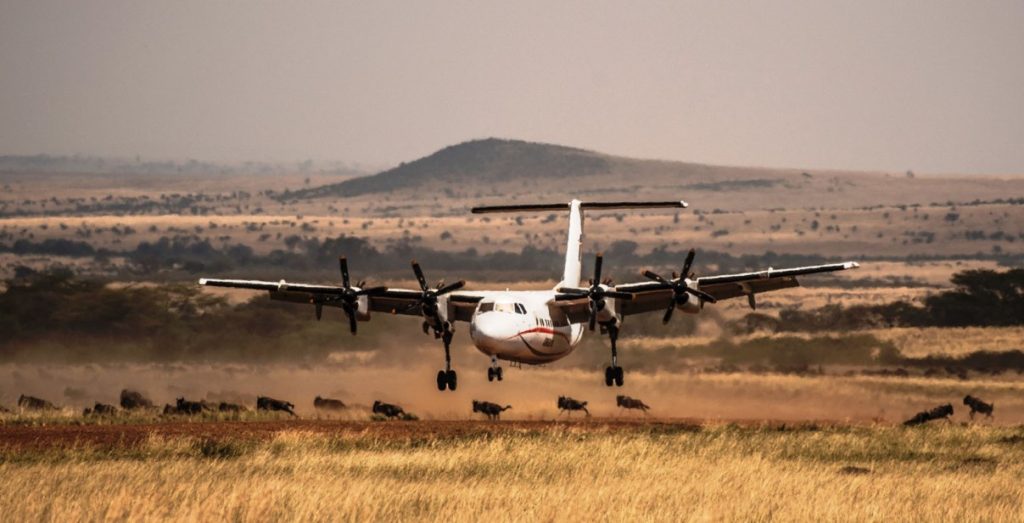 2 Days Masai Mara Flying Safari