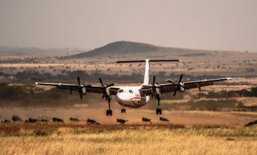 2 Days Masai Mara Flying Safari