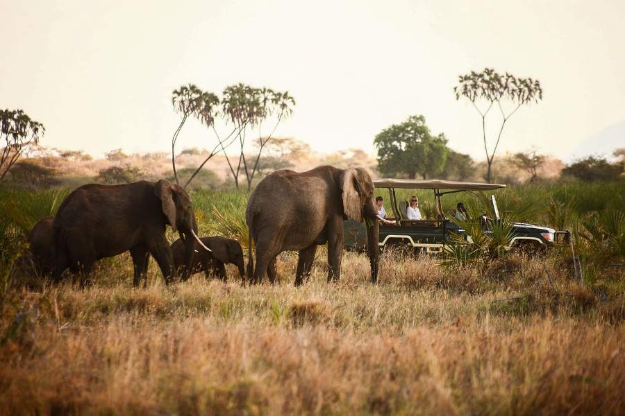 3 Days Samburu National Reserve