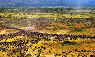 6 Days Masai Mara