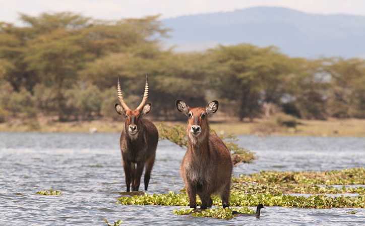 Hells Gate National Park