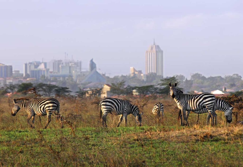 Nairobi National Park Day Tour