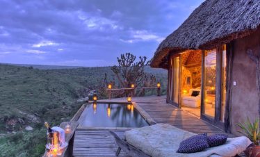 5 Days Ol Pejeta Conservancy