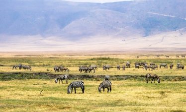 3 Days Ngorongoro Crater Safari Adventure