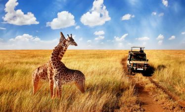 6 Day Private Safari in Tanzania Extravaganza