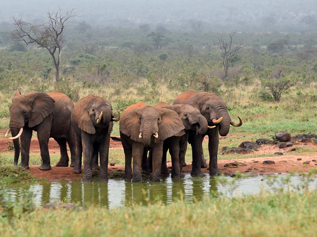 3 Days Tsavo East National park Safari