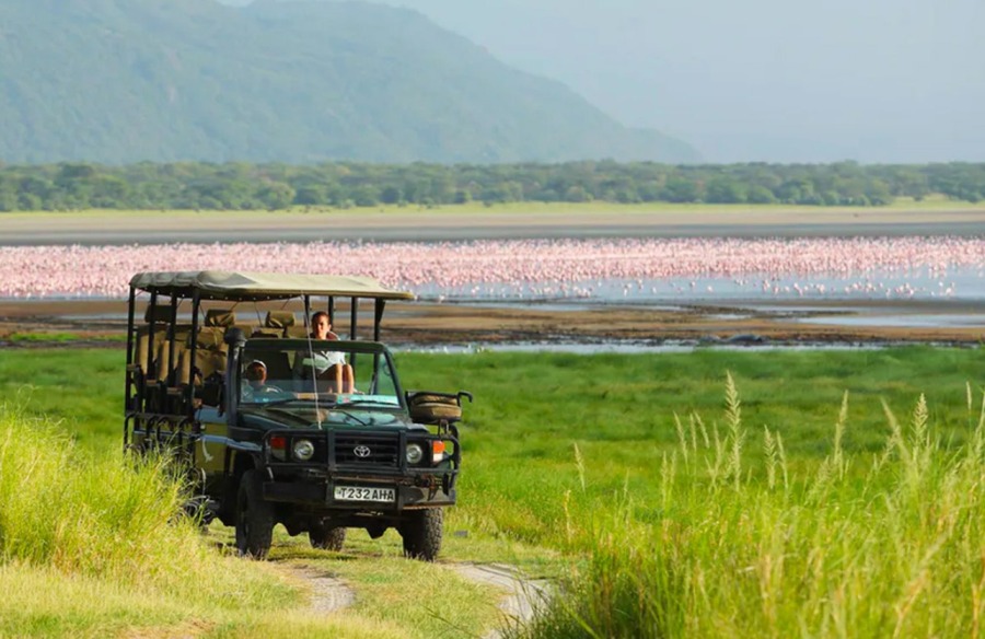 8 Days Masai Mara Lake Manyara