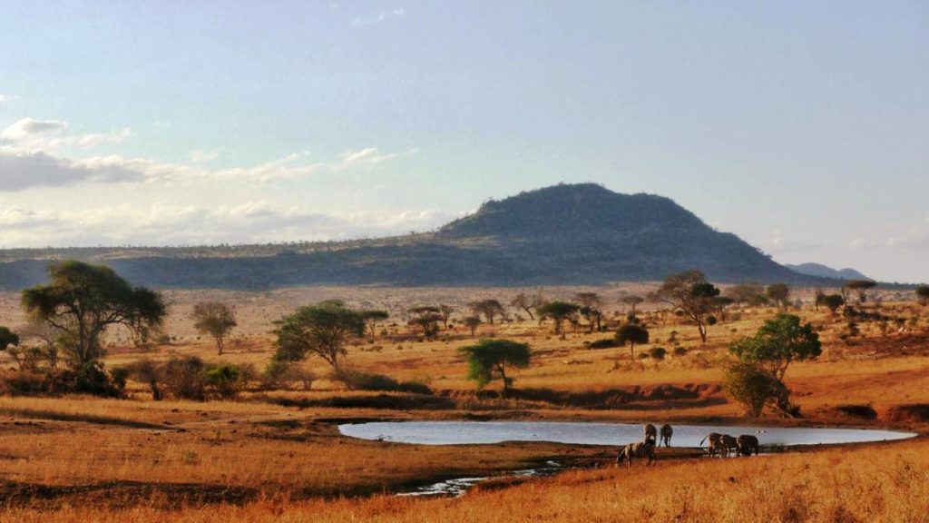 3 Days Tsavo East National park Safari