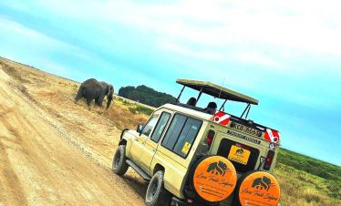 amboseli national park