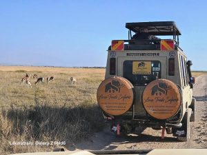 3 Days Amboseli National