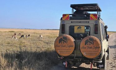 3 Days Amboseli National