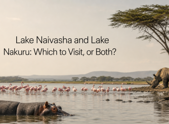 Lake Naivasha and Lake Nakuru: Which to Visit, or Both?