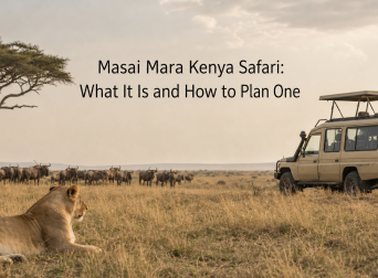 Masai Mara Kenya Safari: What It Is and How to Plan One