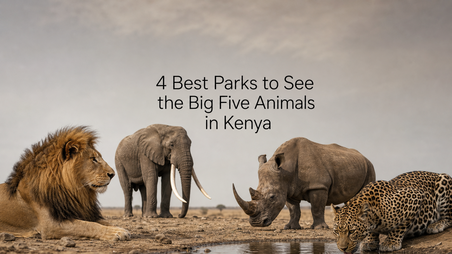 4 Best Parks to See the Big Five Animals in Kenya
