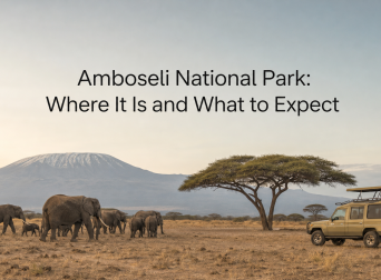 Amboseli National Park: Where It Is and What to Expect