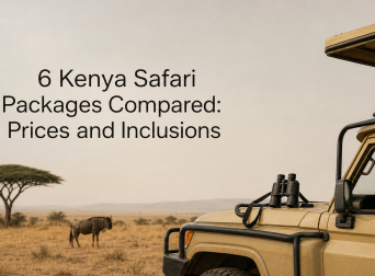 6 Kenya Safari Packages Compared: Prices and Inclusions