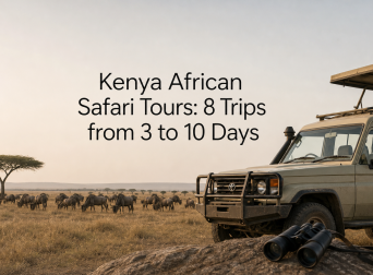 Kenya African Safari Tours: 8 Trips from 3 to 10 Days