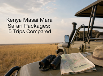 Kenya Masai Mara Safari Packages: 5 Trips Compared