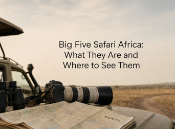 Big Five Safari Africa: What They Are and Where to See Them
