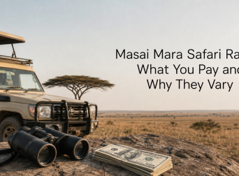 Masai Mara Safari Rates: What You Pay and Why They Vary