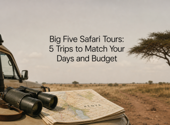 Big Five Safari Tours: 5 Trips to Match Your Days and Budget